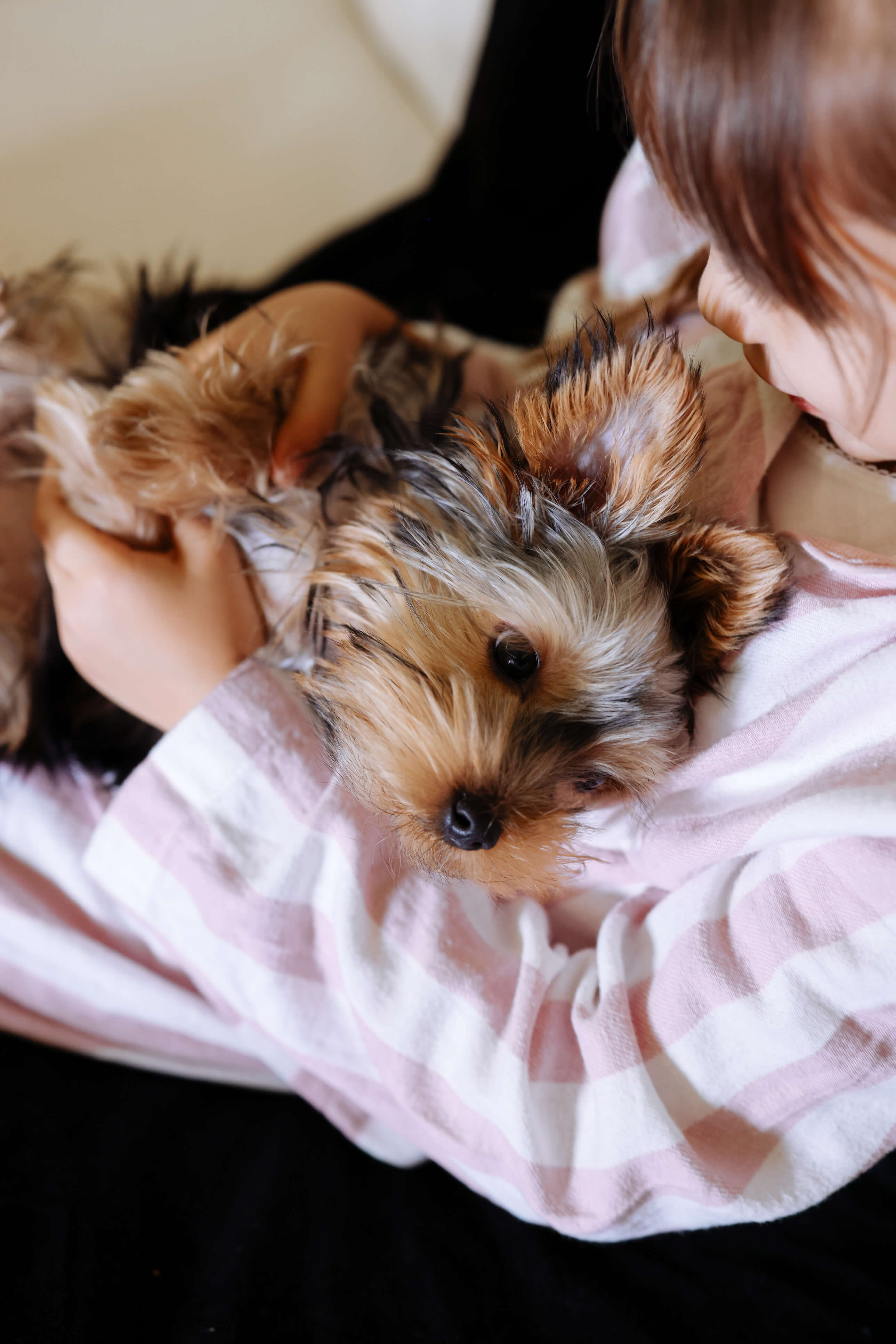 Pet-friendly living space for every member of the family